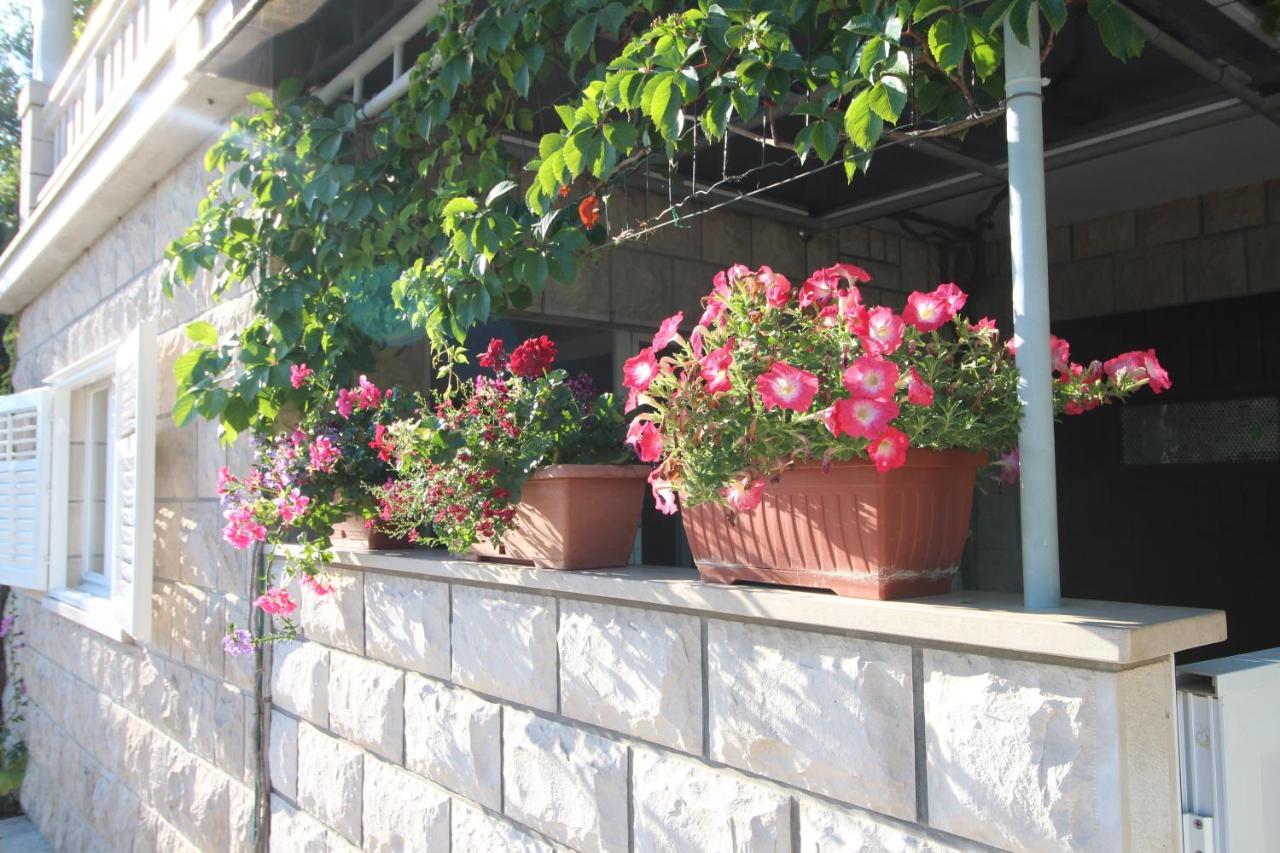 Apartment Ruzica Zrnovo Exterior foto